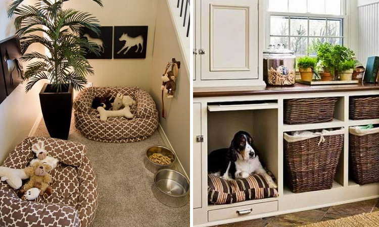 Cantinho pet para cachorros inspiração it mãe