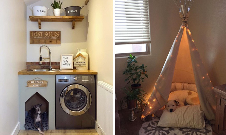 Cantinho pet para cachorro It Mãe