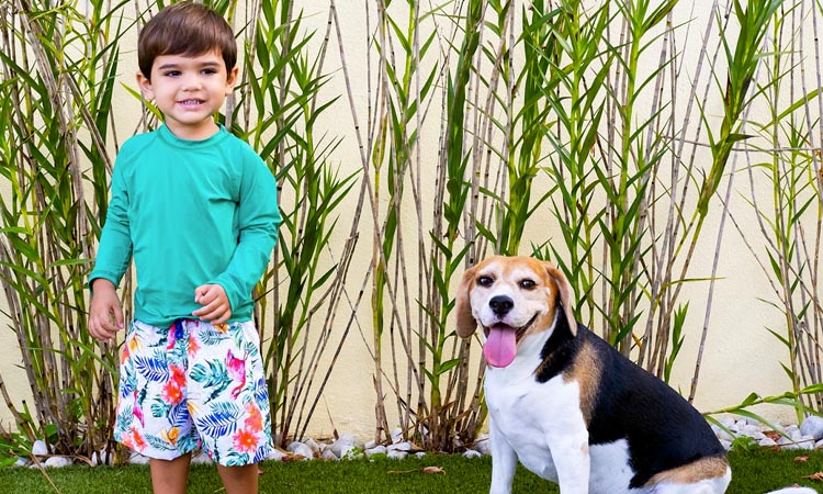 Short Tropical Planet Beach Brasil